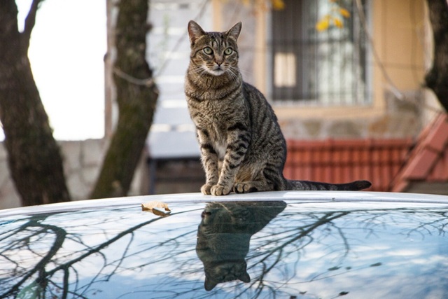 Дожди и мощный ветер накроют Татарстан в конце суперкороткой рабочей недели