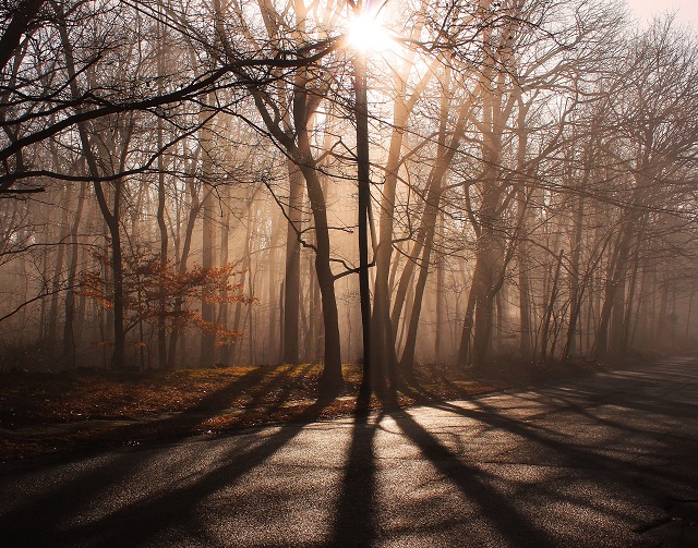 Атмосферное явление ждут в Татарстане в ближайшие сутки