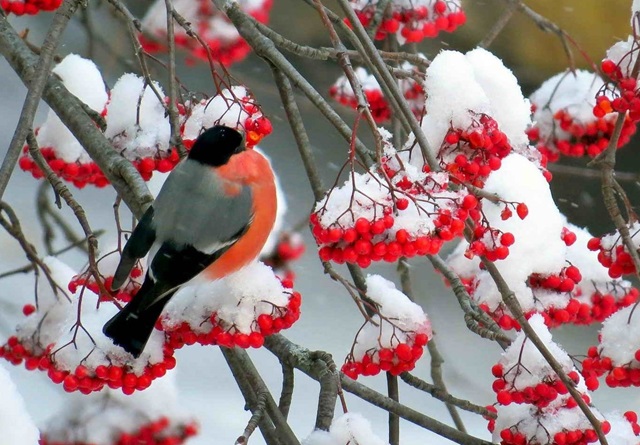 КФУ профессоры Татарстан халкын атмосфера басымының үзгәрүе турында кисәтте