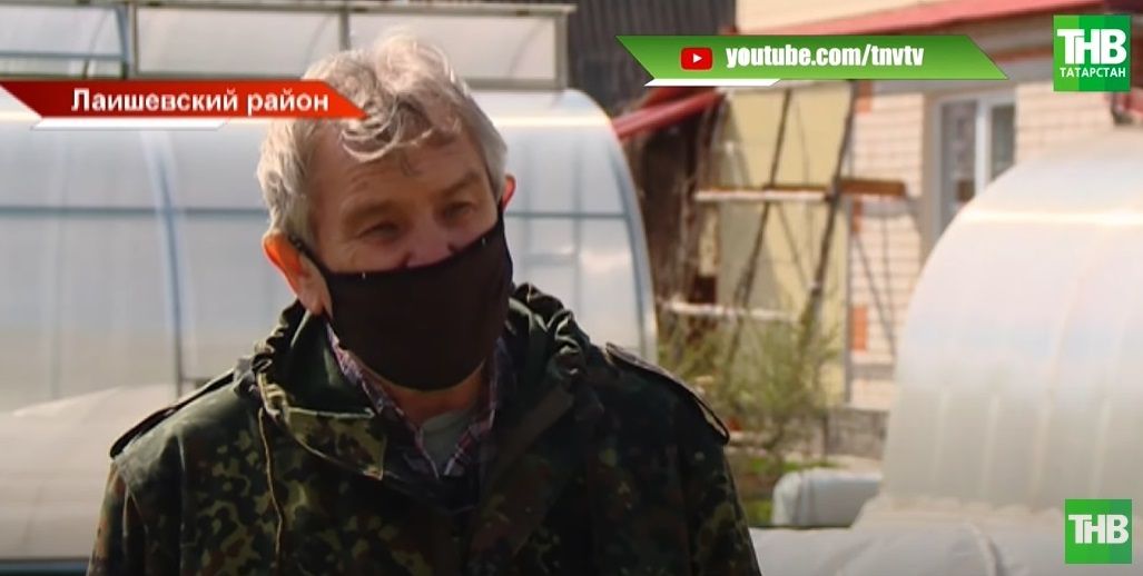 Владимиром Дейнекин: «В Татарстане за 3 года освоили около 2-х миллиардов рублей на помощь садоводам» - видео