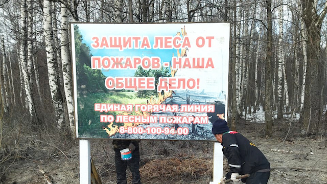 Более 2 300 км противопожарных полос создадут в лесах Татарстана