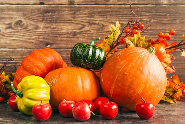 В агропромпарке «Казань» выберут самую большую тыкву