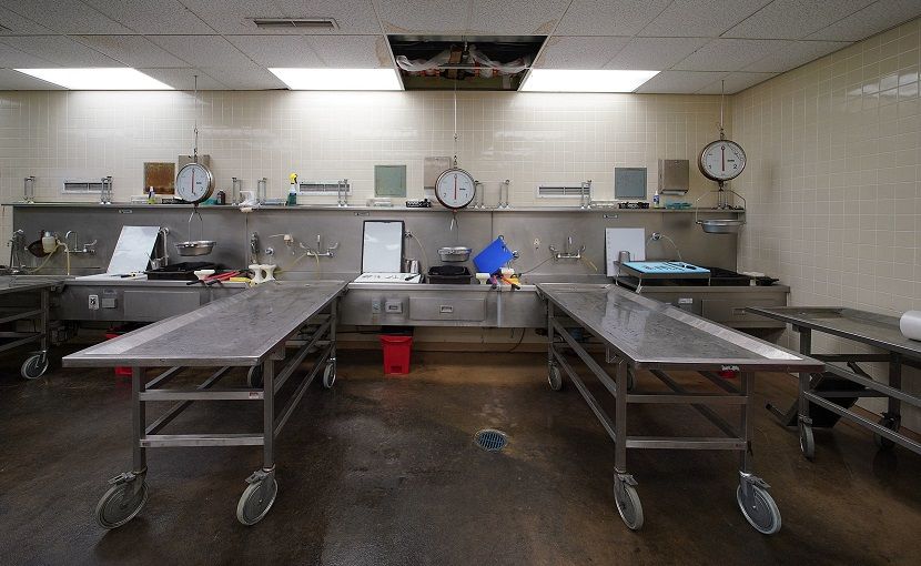 Еще две женщины скончались в больницах Татарстана от коронавируса