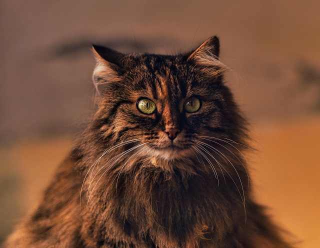 Сильная непогода разыграется в Татарстане в День космонавтики