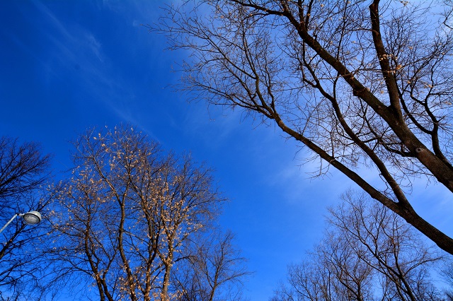 Потепление до +6 градусов принесет в Татарстан последняя пятница марта