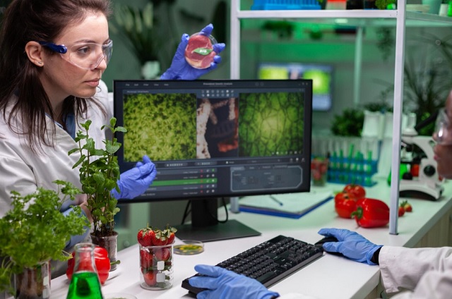 В трех школах Кукморского района заработали профильные агротехклассы