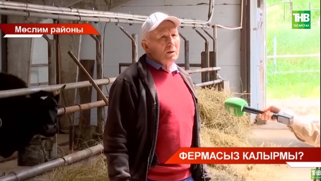 “Мине бөлгенлеккә чыгардылар” - Мөслим районындагы фермерны судка биргәннәр