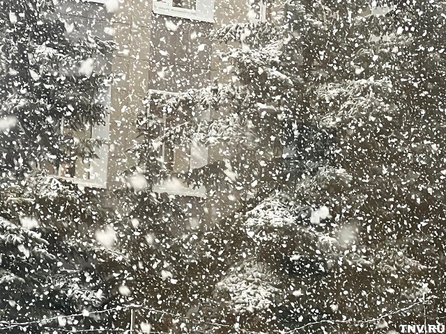 Вильфанд назвал регионы России, где в ноябре ожидается избыток осадков