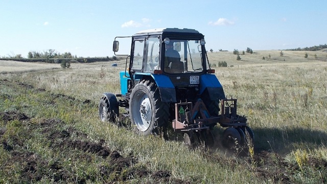 Агротехнический уход за лесными культурами на площади 1 800 га реализовали в РТ