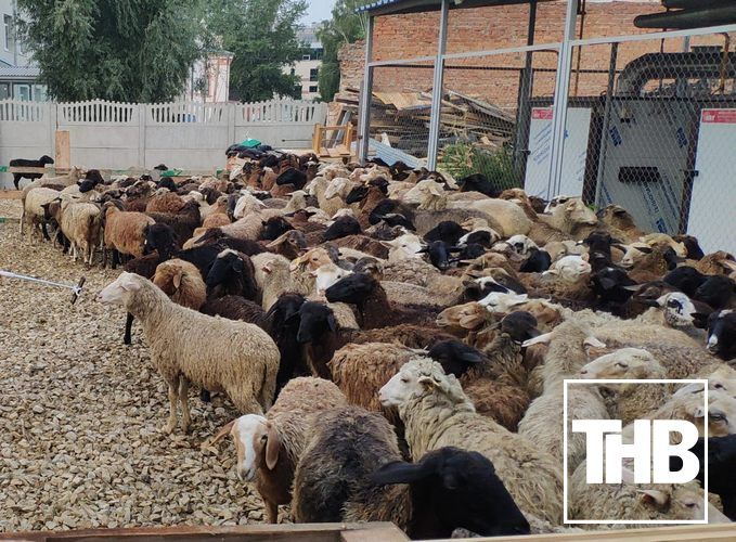 Казанда корбан чалу урыннары билгеләнде