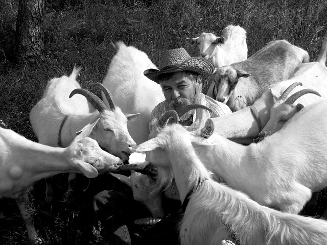 Известный в Татарстане фермер Мурат Сиразин скончался в возрасте 63 лет