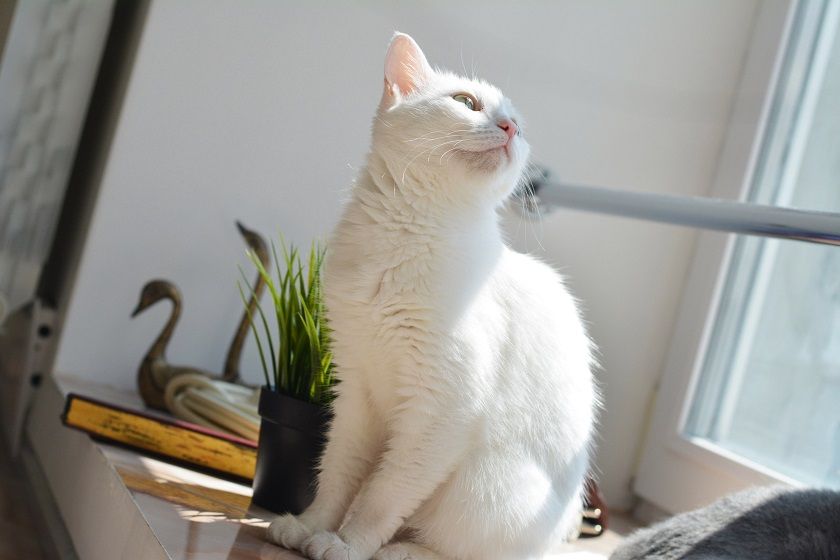 Солнечно и жарко: 2 июля в Татарстане воздух прогреется до +29 градусов