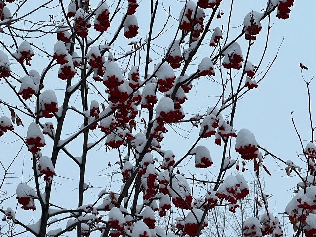 Эш атнасы ахырында Татарстанда нинди һава торышы көтәргә?