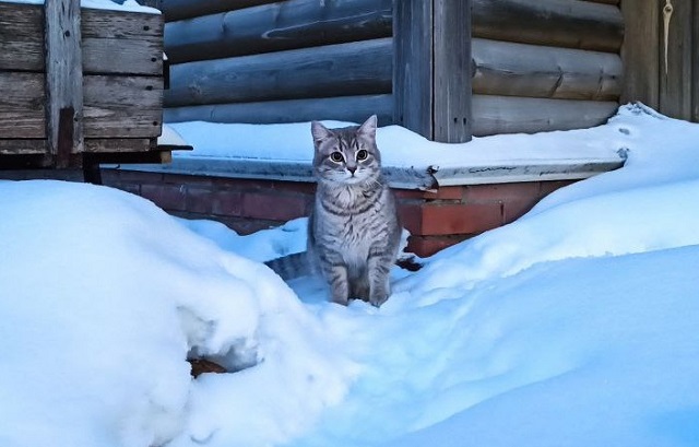 Иртәгә Татарстанда кар явуы көтелә