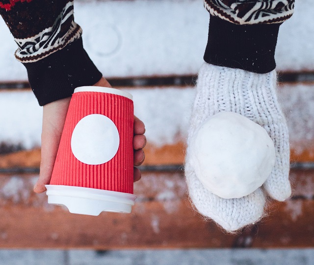 Снегопады и мороз до -5 градусов анонсировал Гидрометцентр в Московском регионе