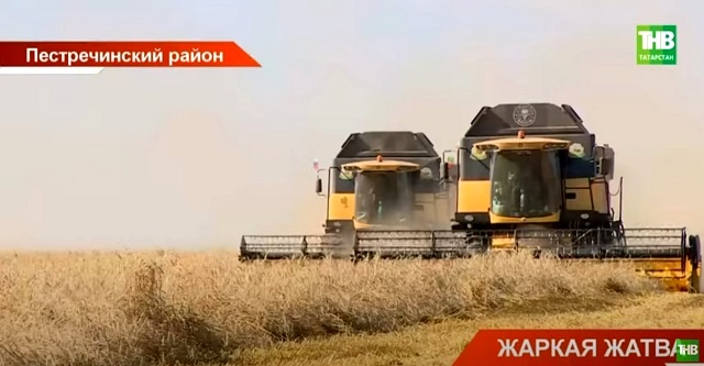 Жаркая жатва-2023: аграрии Татарстана перешагнули рубеж в 2 млн тонн урожая