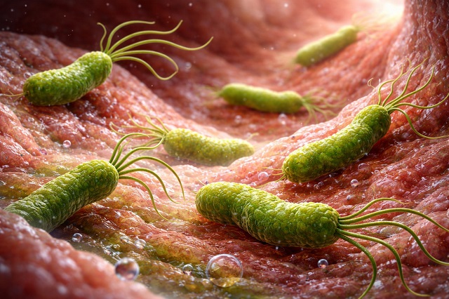 Заражает мама, а убивает желудок: в КФУ развенчали пять мифов о хеликобактер пилори