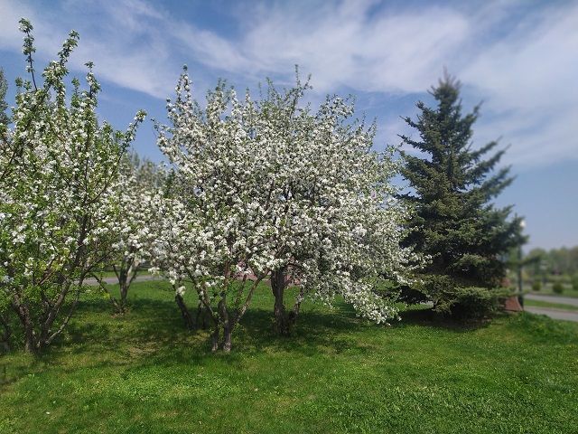 Майский зной: в ближайшие сутки в Татарстане воздух прогреется до +35 градусов