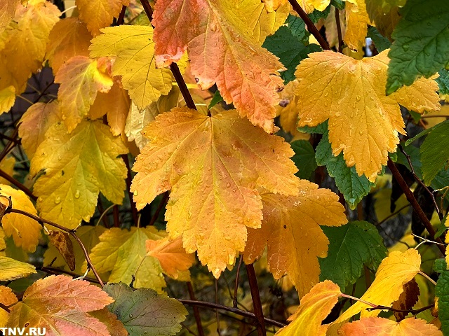 Жителей Татарстана предупредили о самой холодной ночи на этой неделе
