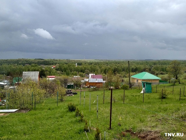 Садоводам Татарстана рассказали, как правильно поступить с промерзшими плодовыми деревьями