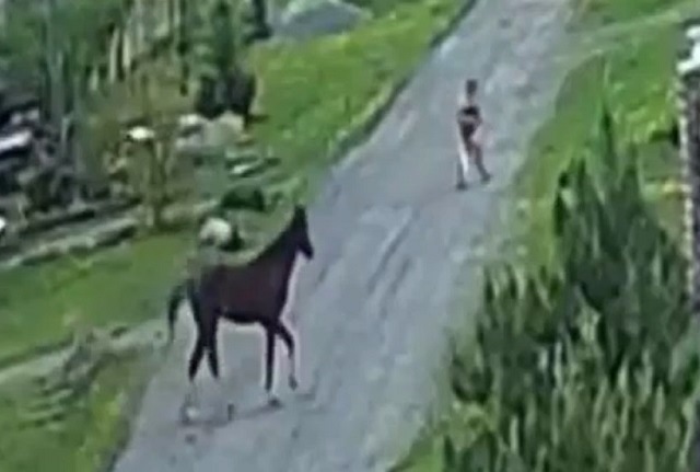 Нападение агрессивного коня на мужчину попало на видео в Свердловской области