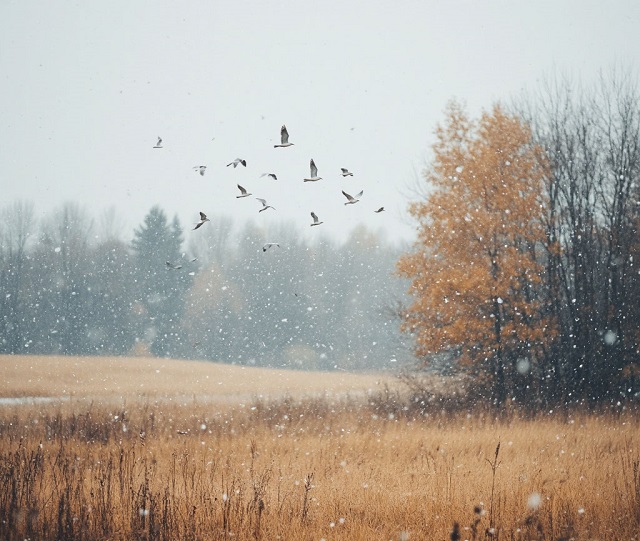 Атлантические циклоны лишают Татарстан снега: ждать ли новую «дождливую зиму»?