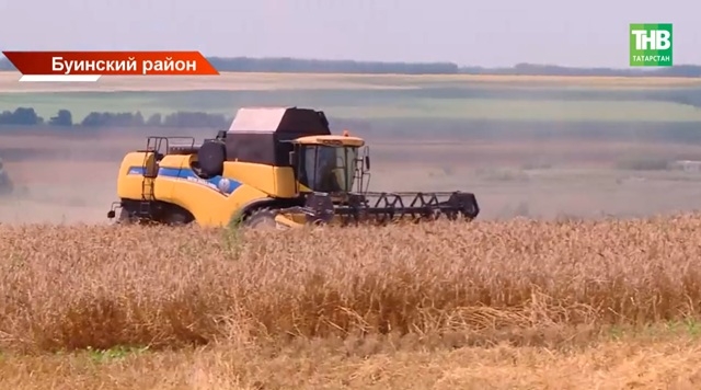 В Татарстане намолотили третий миллион тонн зерна