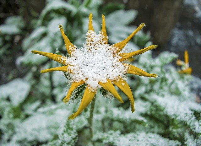 Иртәгә Татарстанда беренче карны фаразлыйлар