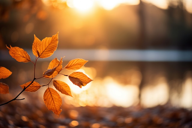 Аномальное тепло и барические гребни: доцент КФУ дал прогноз на первую декаду ноября