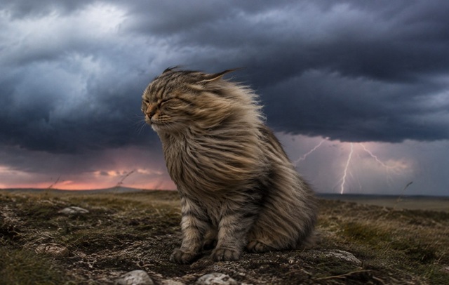 Град, грозы и шквалы разбавят адское пекло в Татарстане