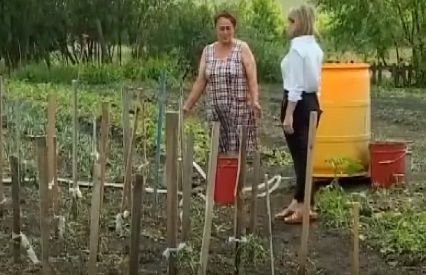 Сарман районының 120 шәхси хуҗалыгына көчле яңгырдан соң зыян килгән