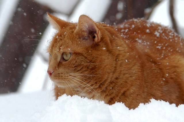 Стало известно, какие сюрпризы готовит погода в Татарстане на завершение выходных