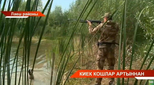 Татарстанлыларга киек казларга аучылык кагыйдәләрен искә төшерделәр