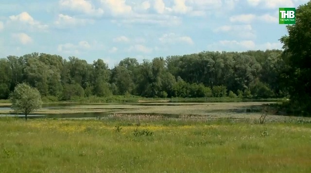 Резонансное дело: в Татарстане жители села против добычи песка на уникальном природном уголке