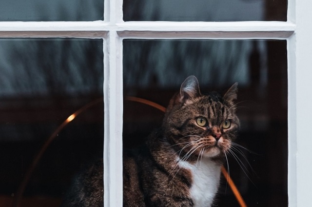 Иртәгә Татарстанда +36 градуска кадәр кыздырачак