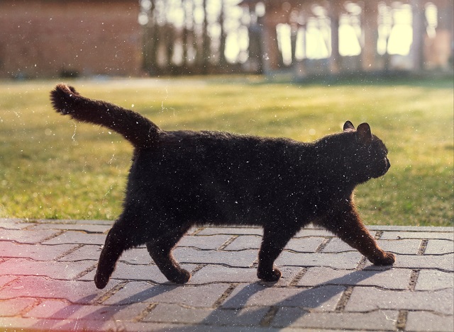 Тепло до +20 градусов и «сезон дождей» стартуют в Татарстане в середине недели