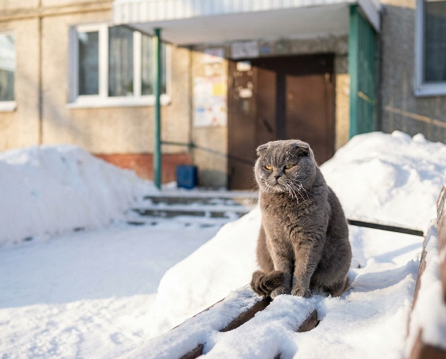 25 февральгә һава торышы билгеле
