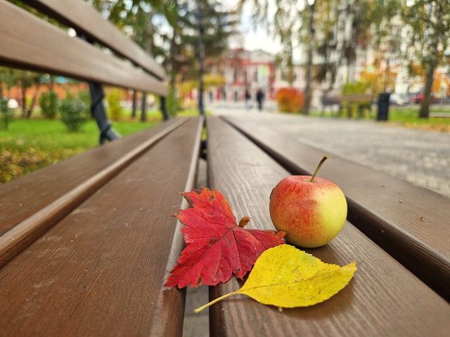 Иртәгә Татарстанда яңгыр явачакмы?