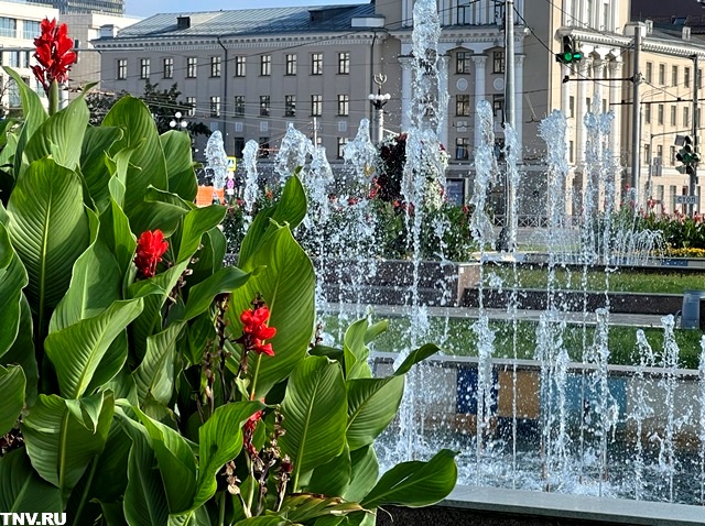 По-летнему теплое начало сентября спрогнозировал синоптик Тишковец