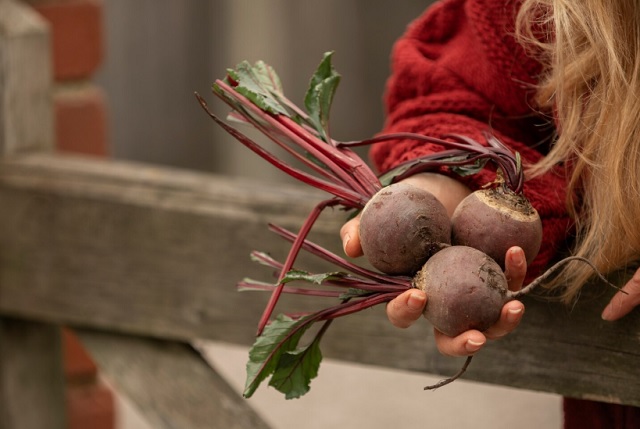 Уборка сахарной свеклы в РТ преодолела первую половину плана