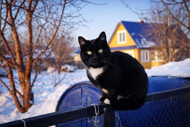 Теплые выходные: в Татарстане воздух прогреется до +15, пройдёт дождь