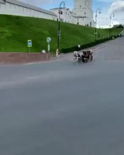 Лошадь сбежала и устроила ДТП в центре Казани