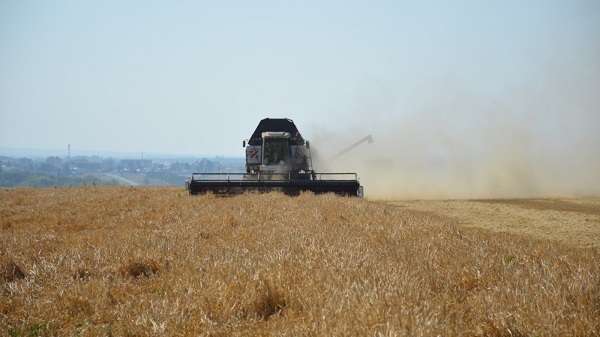 Россиядәге ашлык җитештерүчеләргә өстәмә рәвештә 10 миллиард сум бирелә