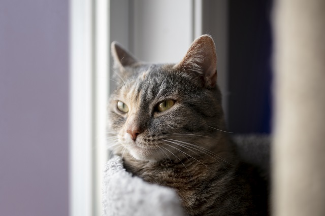 Дожди и похолодание до +2 градусов ждут Татарстан