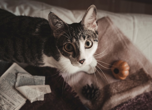 Похолодание до -8 градусов накроет Татарстан в ближайшие сутки