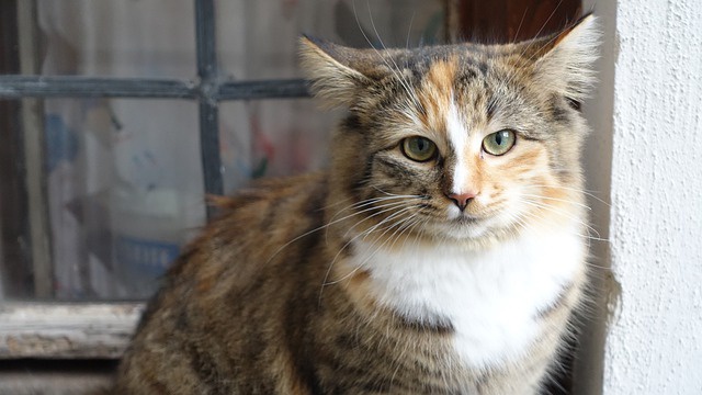 В начале рабочей недели в Татарстане похолодает до -9 градусов