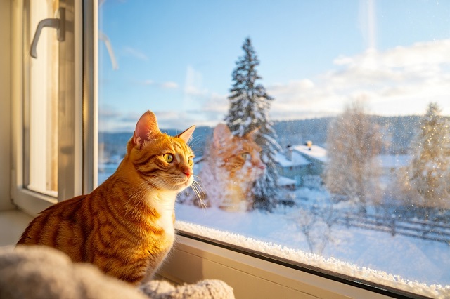 30-градусные морозы на подходе: в ближайшие сутки в Татарстане резко похолодает