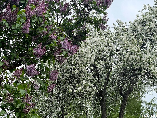 Стало известно, когда в Татарстан придет метеорологическое лето