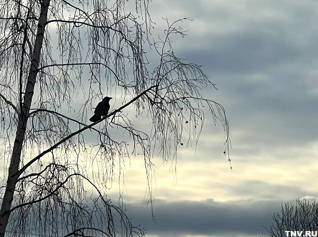 В середине недели Татарстан окажется на гребне антициклона
