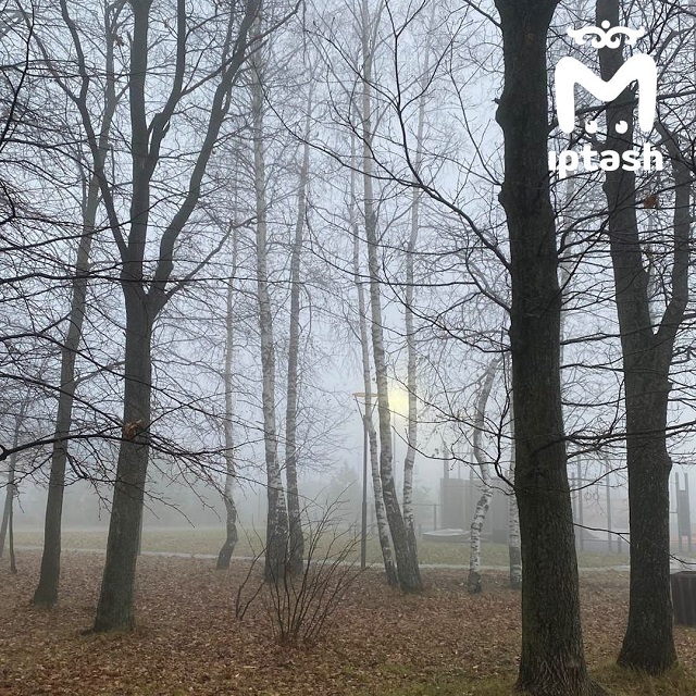 Эффектные кадры: густой туман охватил самый молодой город России